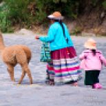 A mother with child in tow and llama leading the way to the town square.